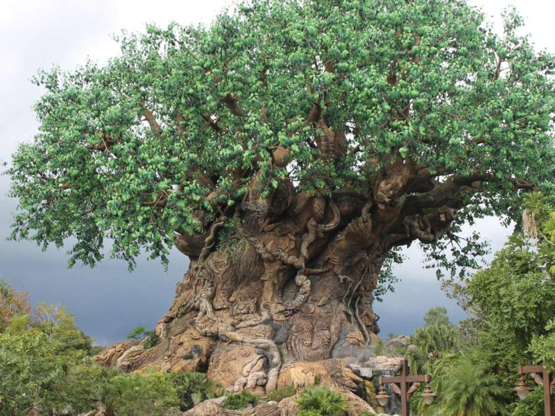 Disney's Animal Kingdom® Official Site
