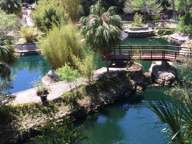 Cedar Lakes Woods and Gardens