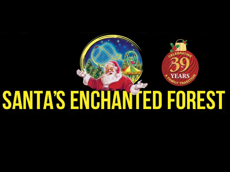 Santa’s Enchanted Forest