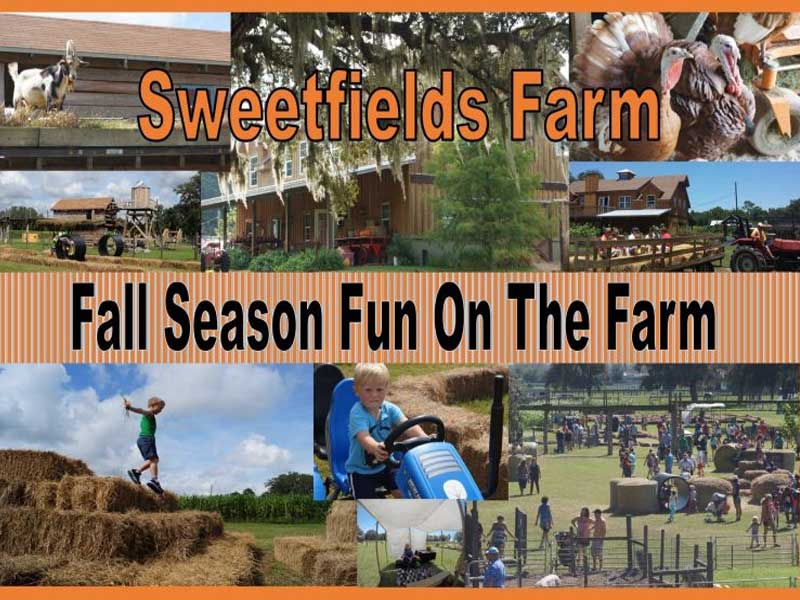 Sweetfields Farm Corn Maze