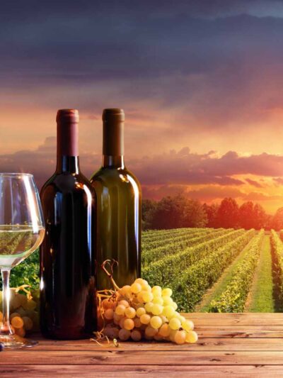 Wine / Wineries