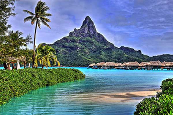 Dream Vacation Travel Agency