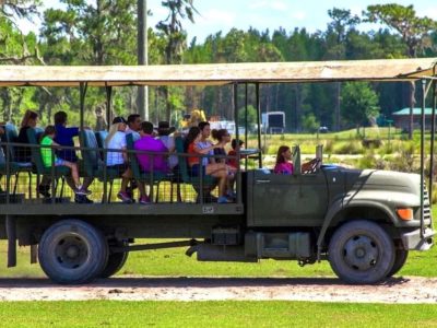 Safari Wilderness Ranch