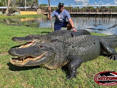 Gatorama
